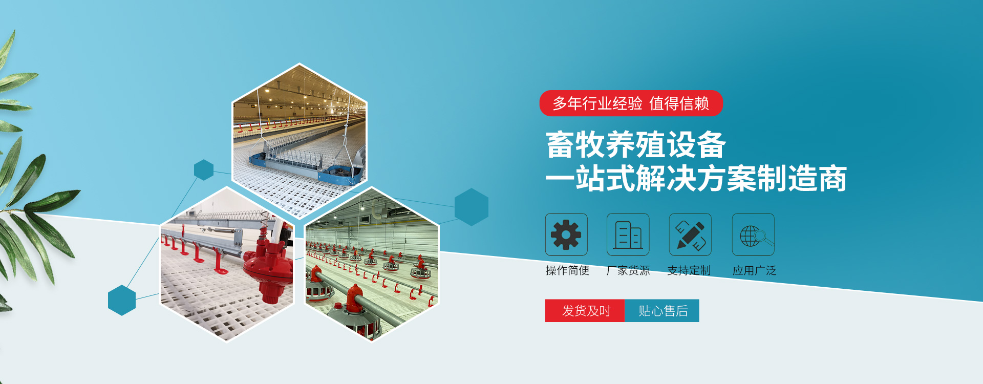 饲喂系统
